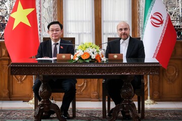 The Vietnamese and Iranian parliament chiefs talking to reporters