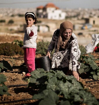 Iran makes strides in combating malnutrition, ascends 12 ranks in global assessment: FAO