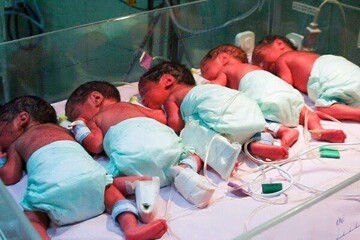 Families of quadruplets and more to receive free housing 