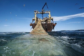 DOE opposes trawling in Persian Gulf