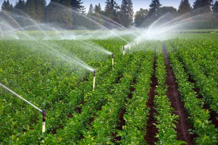 agriculture