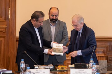 Iranian, Russian prestigious museums discuss possible cooperation