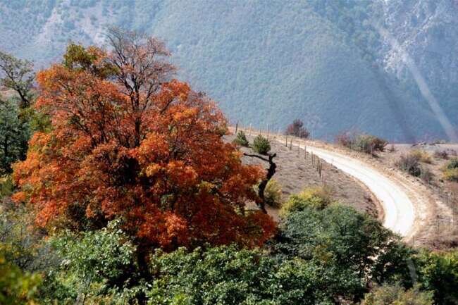 Rudbarak Forest: An ultimate destination for adventure enthusiasts