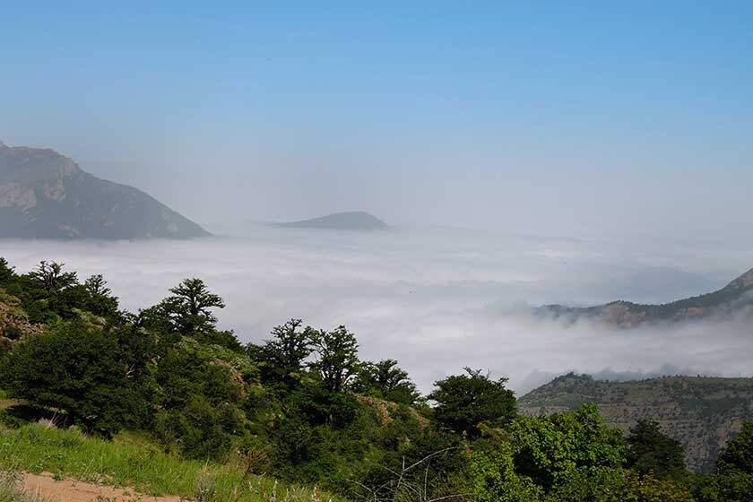 Rudbarak Forest: an ultimate destination for adventure enthusiasts