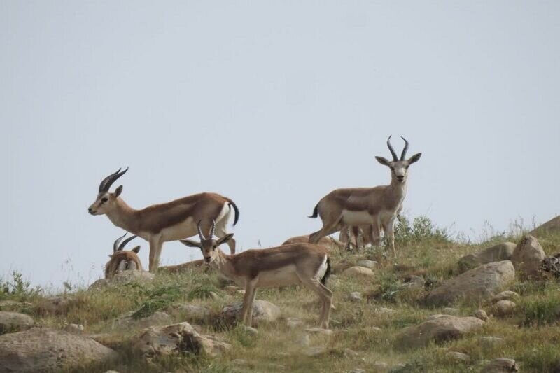Protected areas under management rise 18% in 2 years