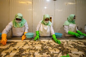 Shrimp farming near Caspian Sea 