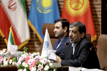 Iranian minister proposes visa-free travels among ECO member states