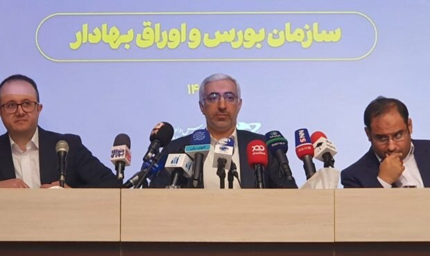 Capital Market Development and Stabilization Fund to support shareholders: SEO head Capital Market Development and Stabilization Fund to support shareholders: SEO head