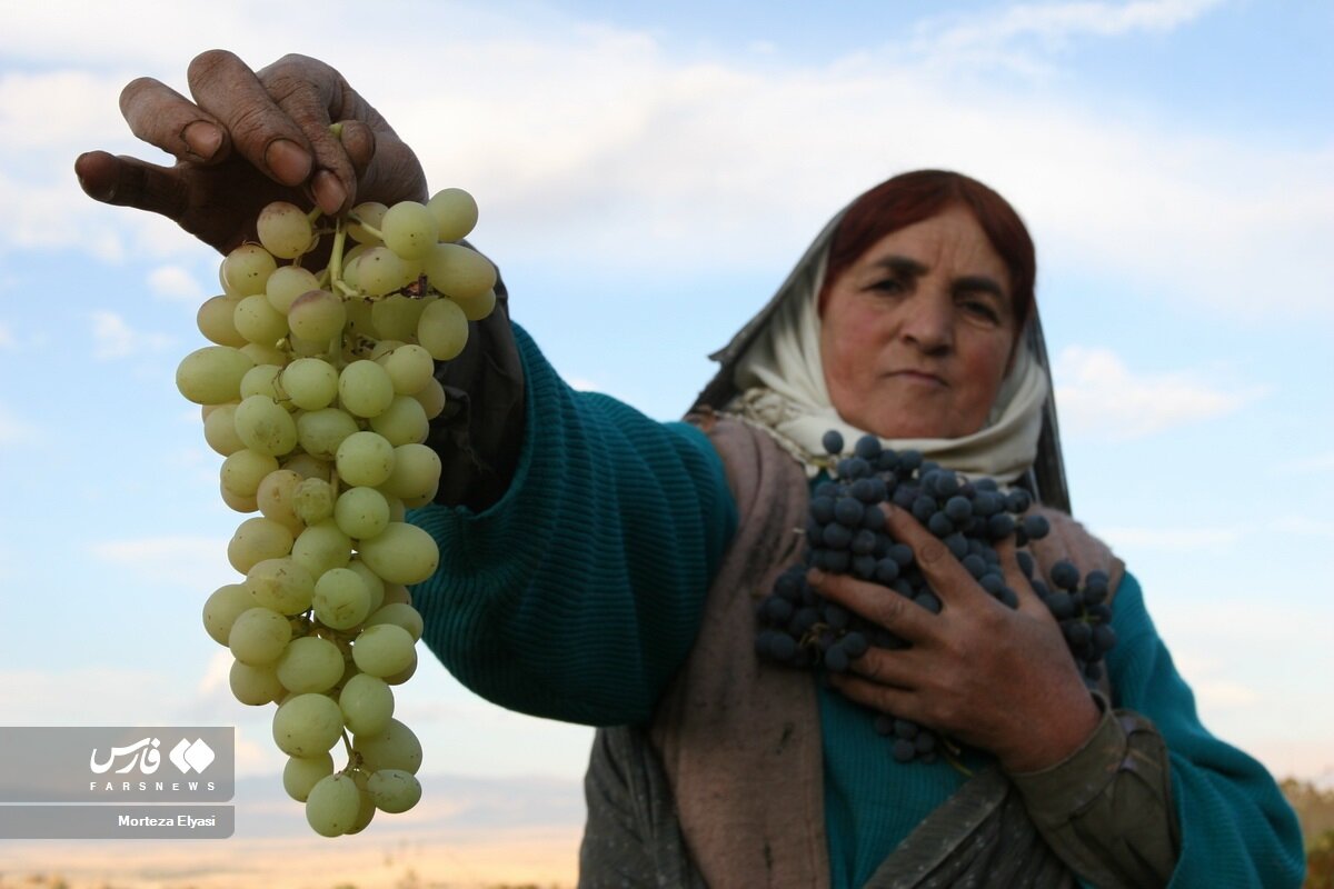 Kermanshah province steps up campaign to boost rural tourism