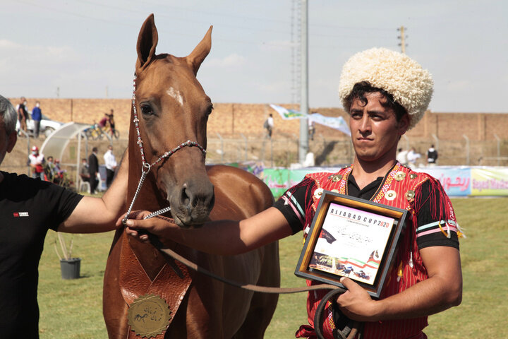 Turkmen horses to compete in a beauty pageant in northern Iran