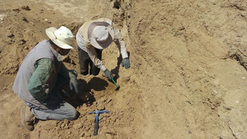 Archaeologist elaborates on Sassanid temple discovered in northeast Iran