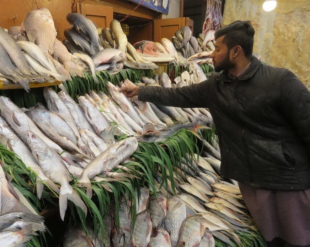 fishery