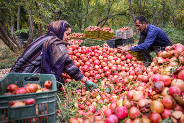 ‘City of pomegranate’ in southern Iran