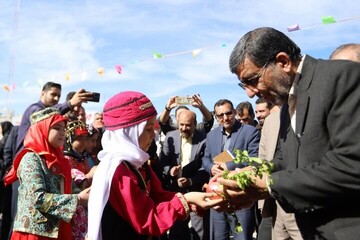 Saveh pomegranate festival gains national status
