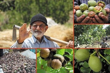 FAO acknowledges New Agricultural Heritage sites in Iran