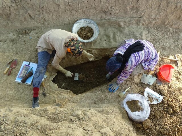 Ancient DNA extracted from urn-like tombs unearthed in southwest Iran