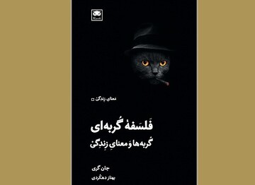 “Feline Philosophy: Cats and the Meaning of Life”