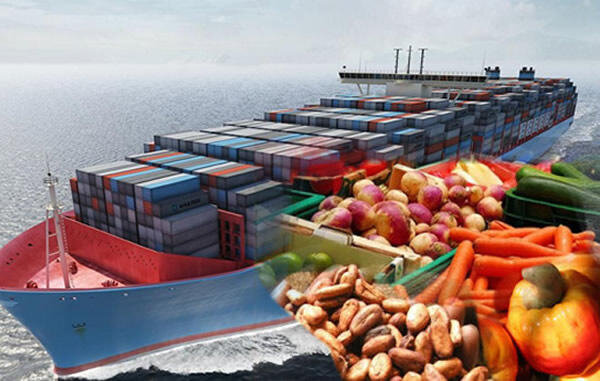 Export to India
