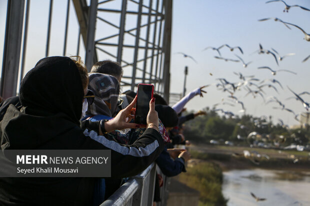 Khuzestan hosts its first green tourism conference