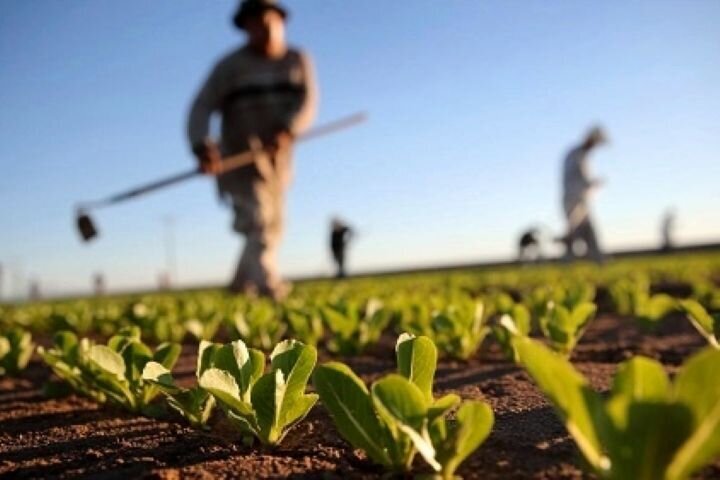 West Azarbaijan enjoys elements for well-off agritourism