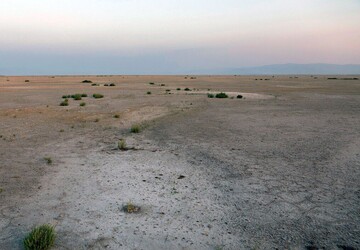 Iran to celebrate World Soil Day