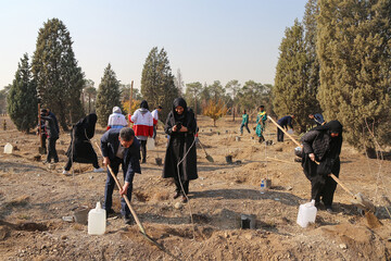 Iranians welcome tree-planting campaign