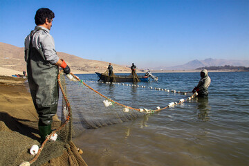 Fishing in Mahabad reservoir 