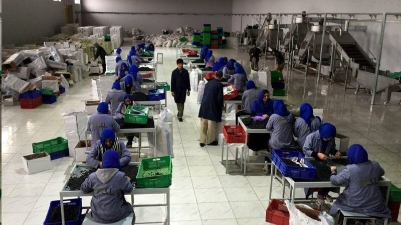 Refugees, precious power to rebuild Afghanistan