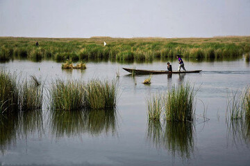 A view of Shadegan wetland that extends over an area of 296,000 hectares in southwest Iran. It creates a suitable habitat for a number of migrating waterfowls, which fly to this area from north Europe, Canada and Siberia in autumn.