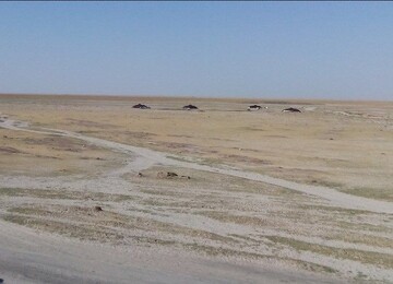 Enhanced environmental diplomacy needed to save Hamoun Wetland