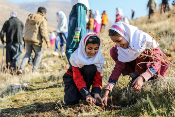 Students partake in tree planting