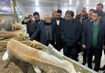 Inauguration of sturgeon fishery museum celebrates Iran’s aquatic heritage