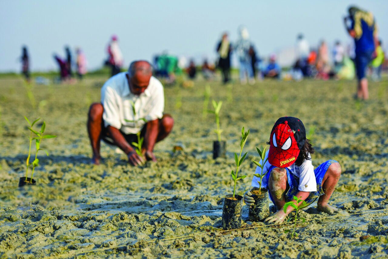Some 2,000 mangrove saplings planted