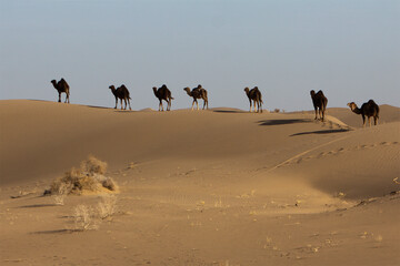 A desert named Egypt in Iran