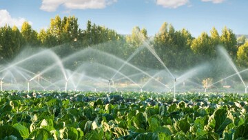 modern irrigation