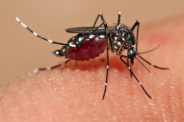 Climate change hampering Malaria elimination