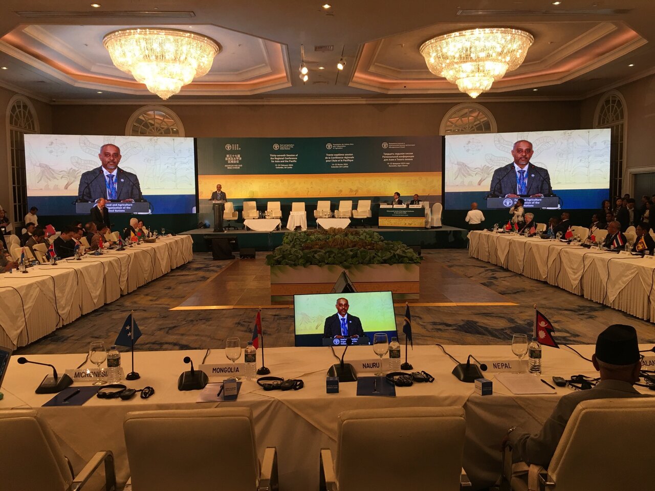 Iran attending FAO intl. conference on agrifood systems reform