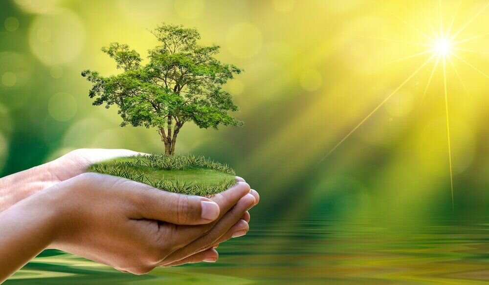 Iran joins 10 environmental conventions after Islamic Revolution