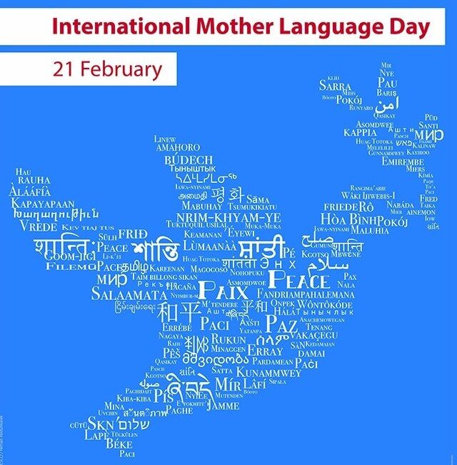 Multilingualism fosters inclusive education, preserves indigenous languages
