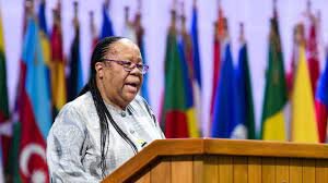 S African FM