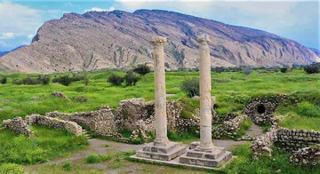 Cultural heritage activist warns of potential threats to UNESCO-listed site in southern Iran