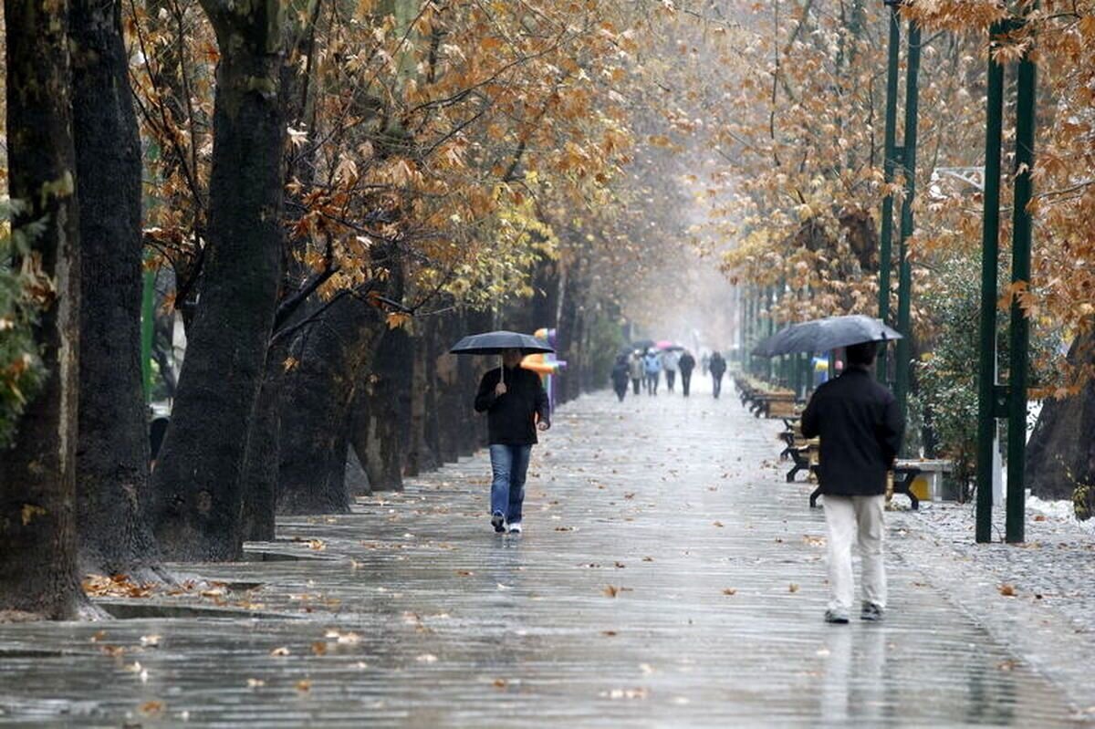 Rainfall declines compared to last year