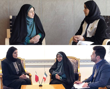 Qatar, Saudi Arabia welcome Iran’s family support programs