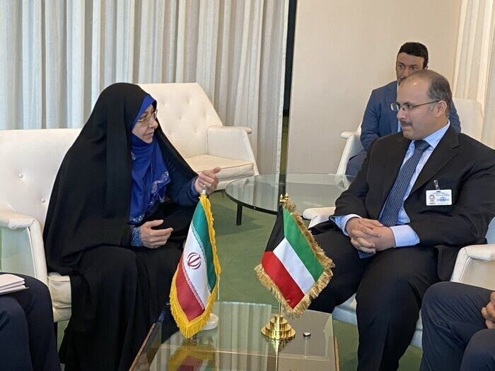 Family norms should be further promoted in Islamic countries: VP