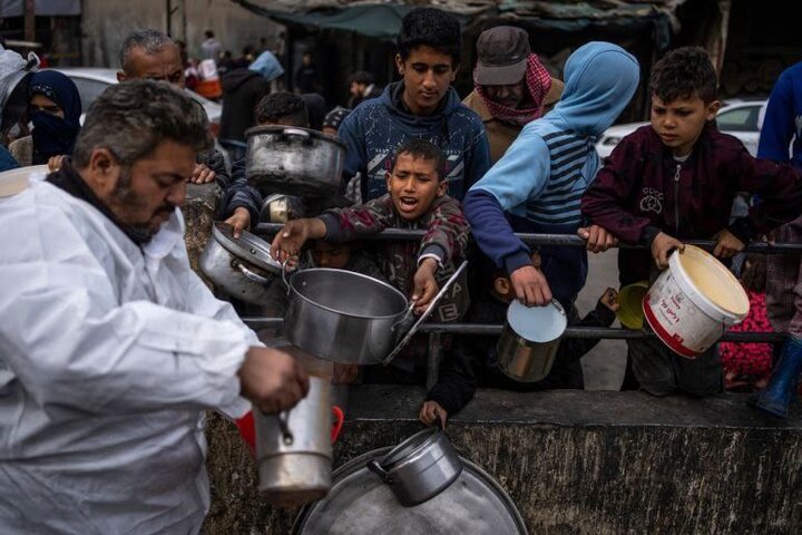 Gaza through individual stories