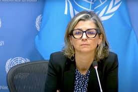 UN expert