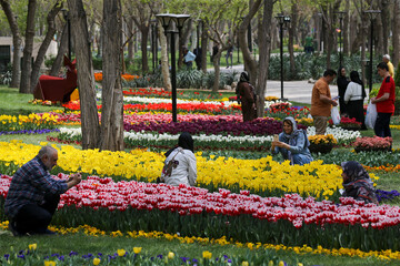Tulip festival ready to host visitors