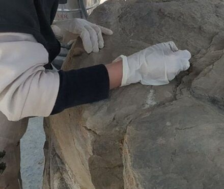 Persepolis director underscores fight against lichens