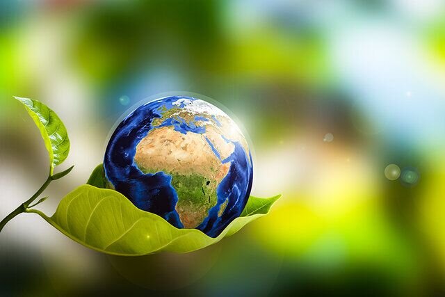Stop the pervasive use of plastics