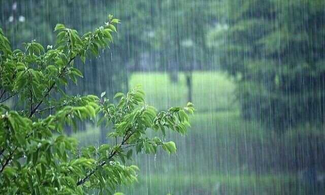 Rainfall increases by 16% since mid-March yr/yr